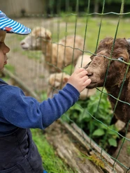 Tierpark Krüzen©Mareike Bodendieck (7).jpg Krüzen Tierpark