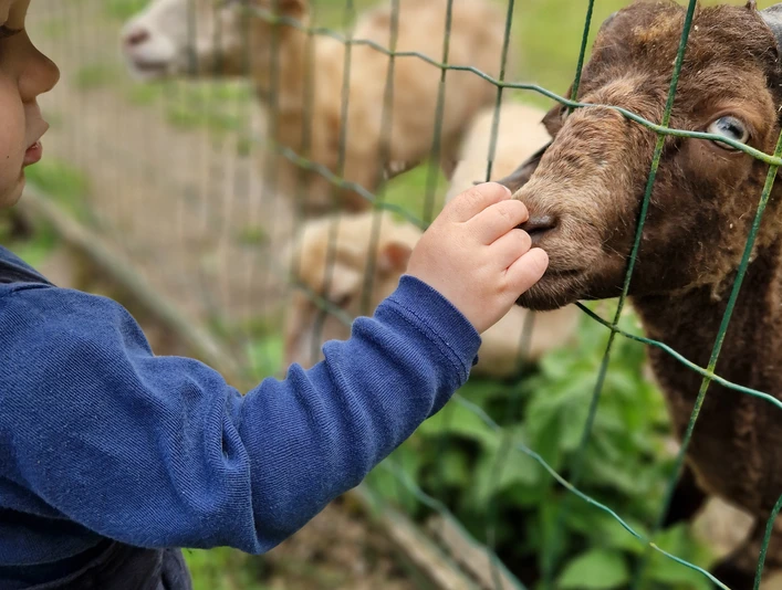 Tierpark Krüzen©Mareike Bodendieck (7).jpg Krüzen Tierpark