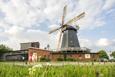 Meyer's molen met café en boerderijwinkel Meyer's molen met café en boerderijwinkel