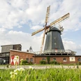 Meyer's windmill with café and farm shop Meyers Windmühle mit Café und HofladenMeyer's windmill with café and farm shopMoulin à vent Meyers avec café et magasin à la fermeMeyer's molen met café en boerderijwinkelMeyers vindmølle med café og gårdbutik