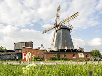 Meyer's windmill with café and farm shop Meyers Windmühle mit Café und HofladenMeyer's windmill with café and farm shopMoulin à vent Meyers avec café et magasin à la fermeMeyer's molen met café en boerderijwinkelMeyers vindmølle med café og gårdbutik