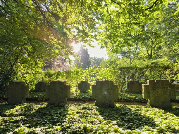 Lichtdurchfluteter Friedhof mit alten Grabsteinen, umgeben von dicht bewachsenen, grünen Bäumen.
