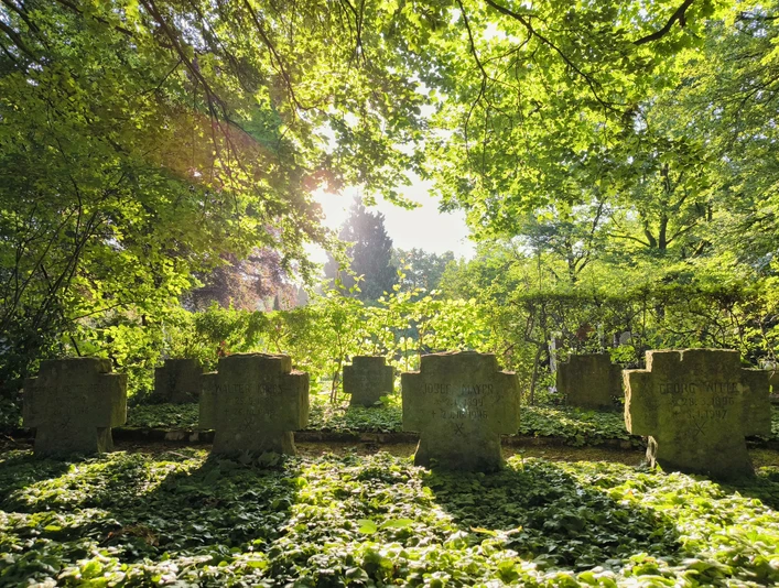Lichtdurchfluteter Friedhof mit alten Grabsteinen, umgeben von dicht bewachsenen, grünen Bäumen.