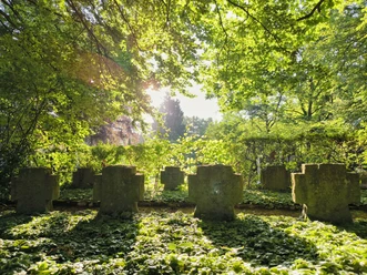 Friedhof Hövelhof Lichtdurchfluteter Friedhof mit alten Grabsteinen, umgeben von dicht bewachsenen, grünen Bäumen.