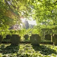 Friedhof Hövelhof Lichtdurchfluteter Friedhof mit alten Grabsteinen, umgeben von dicht bewachsenen, grünen Bäumen.