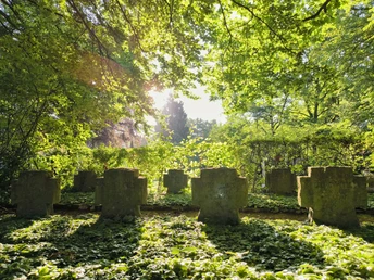 Friedhof Hövelhof Lichtdurchfluteter Friedhof mit alten Grabsteinen, umgeben von dicht bewachsenen, grünen Bäumen.