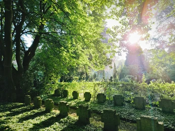 Grüne Bäume spenden Schatten über alten Grabsteinen auf einem friedlichen Friedhof in Hövelhof.
