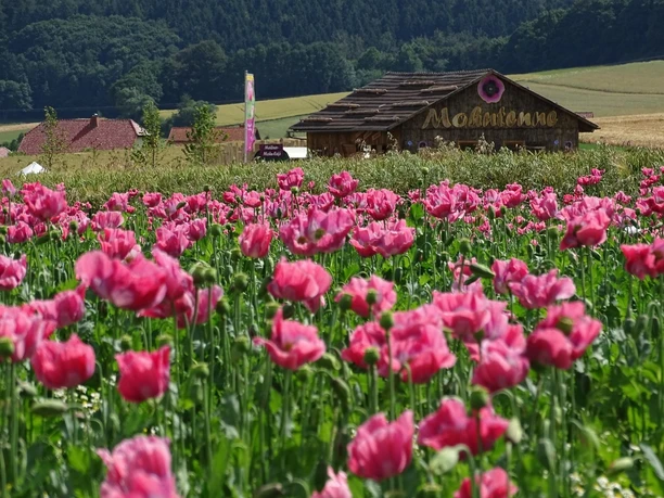 Mohntenne mit Mohnfeld und Fahne c Marco Lenarduzzi