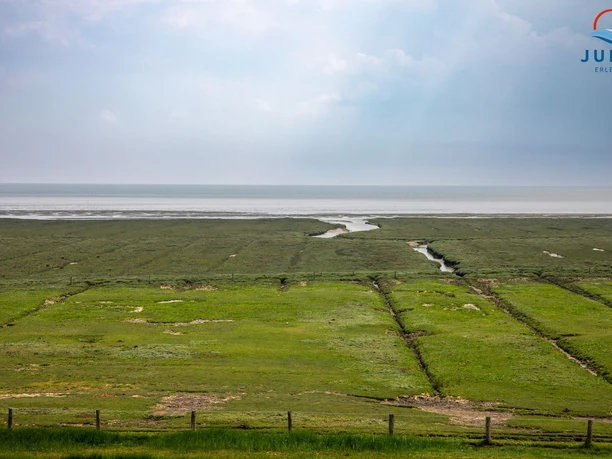 Haus Seerose - Ferienwohnungen auf Juist.jpg Haus Seerose - Ferienwohnungen auf Juist