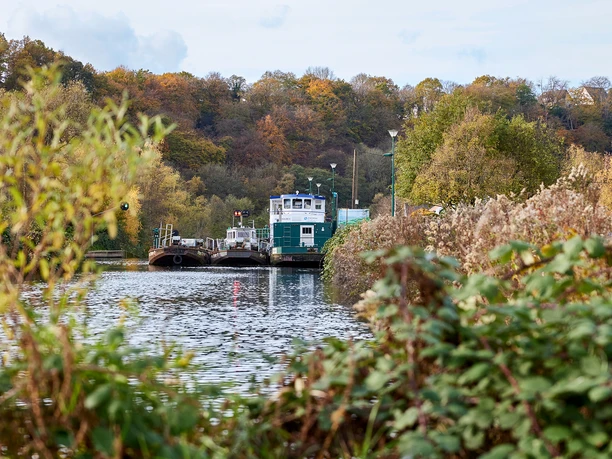 Ruhrtal, Ruhrgebiet Herbstliche Szenerie am ruhigen Flussufer, mit einer Fähre im Hintergrund, umgeben von Bäumen.