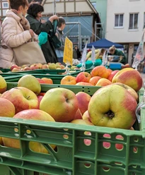 Abendmarkt Vlotho Obst Kisten mit frischen Äpfeln beim Abendmarkt in Vlotho, Besucher im Hintergrund beim Einkaufen.