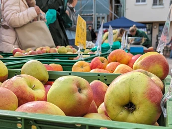 Abendmarkt Vlotho Obst Kisten mit frischen Äpfeln beim Abendmarkt in Vlotho, Besucher im Hintergrund beim Einkaufen.