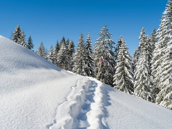 Maria Rickenbach Winter