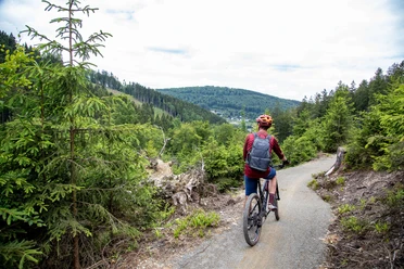 Green Trails Willingen Ruthenaar (3).jpg
