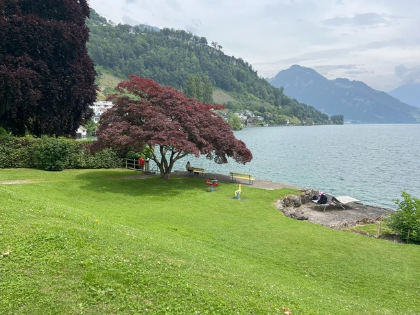 Badeplatz Felsberg (2).jpg