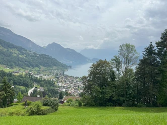 Aussicht Rigiblick.jpg
