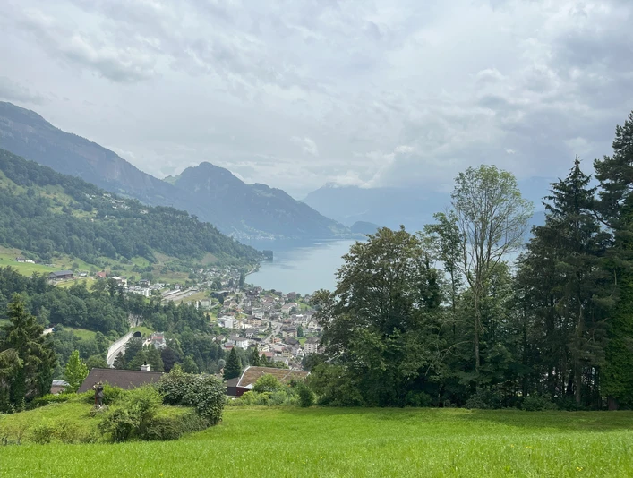 Aussicht Rigiblick.jpg