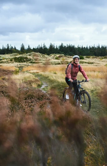 Süderlügumer Binnendünen
