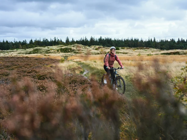 Süderlügumer Binnendünen