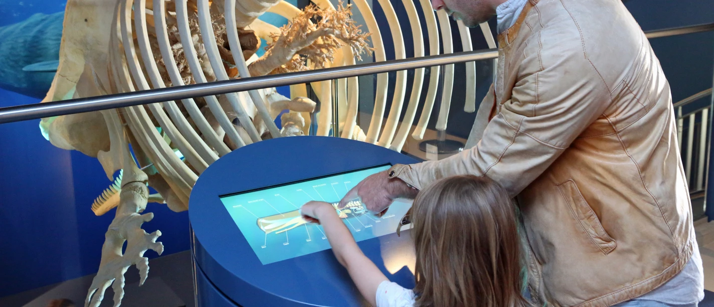 Wattenmeer Besucherzentrum-Björn Lübbe.JPG