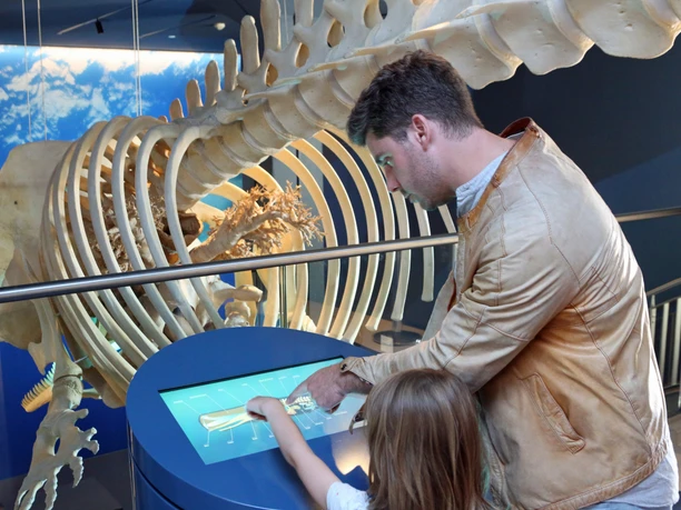 Wattenmeer Besucherzentrum-Björn Lübbe.JPG