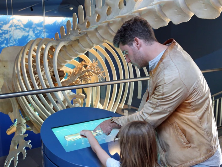 Wattenmeer Besucherzentrum-Björn Lübbe.JPG