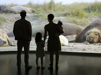 Wattenmeer Besucherzentrum-Foto Björn Lübbe.JPG