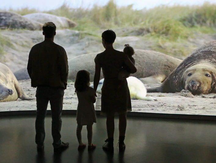 Wattenmeer Besucherzentrum-Foto Björn Lübbe.JPG