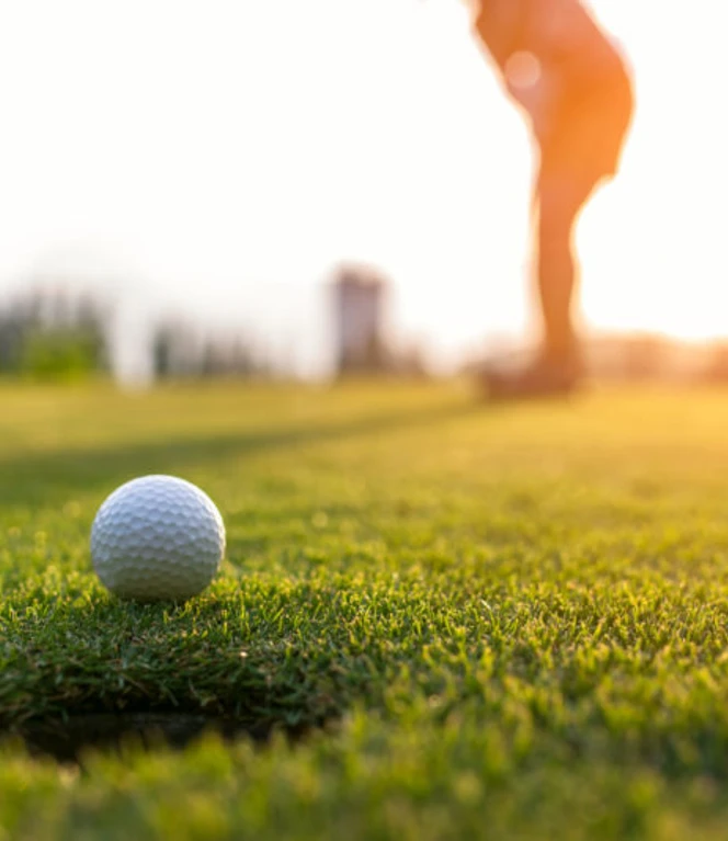 Golfer asian woman putting golf ball on the green golf on sun set evening time, select focus. Healthy and Lifestyle Concept. Golfer asian woman putting golf ball on the green golf on sun set evening time, select focus. Healthy and Lifestyle Concept.