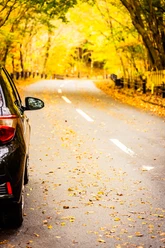 car-road-autumn-forest.jpg