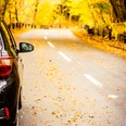 car-road-autumn-forest.jpg