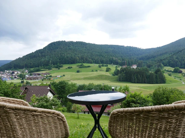 Ausblick