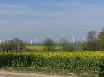 Windkraftanlagen verteilen sich über eine grüne Landschaft mit blühendem Rapsfeld im Vordergrund.