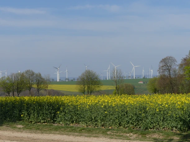 Windkraftanlagen verteilen sich über eine grüne Landschaft mit blühendem Rapsfeld im Vordergrund.