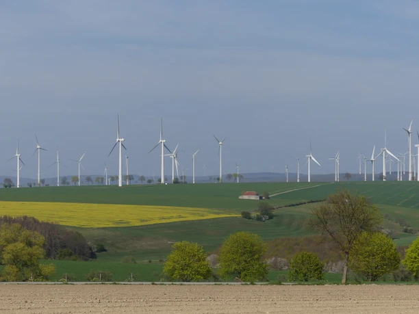 Windkraftanlagen auf der Paderborner Hochfläche Windkraftanlagen stehen auf einer sanften Hügellandschaft mit Feldern und vereinzelten Bäumen.
