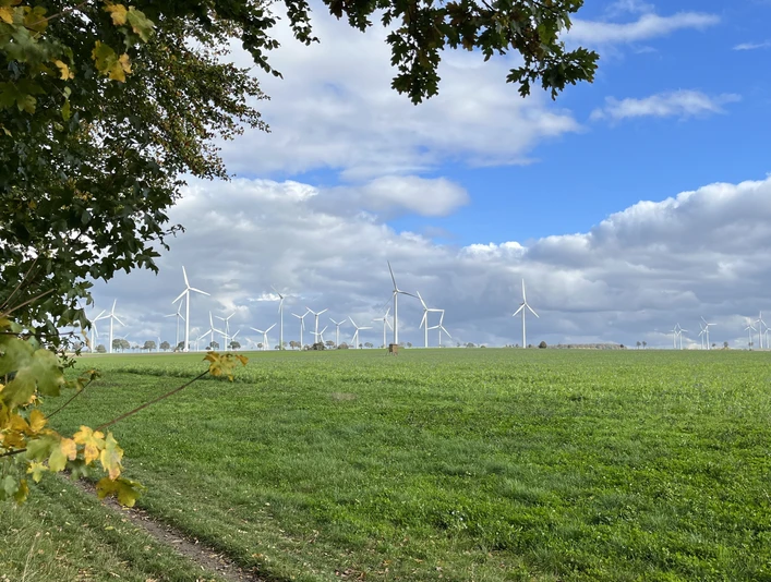 Weitläufige grüne Wiese im Vordergrund, zahlreiche Windkraftanlagen am Horizont unter blauem Himmel.