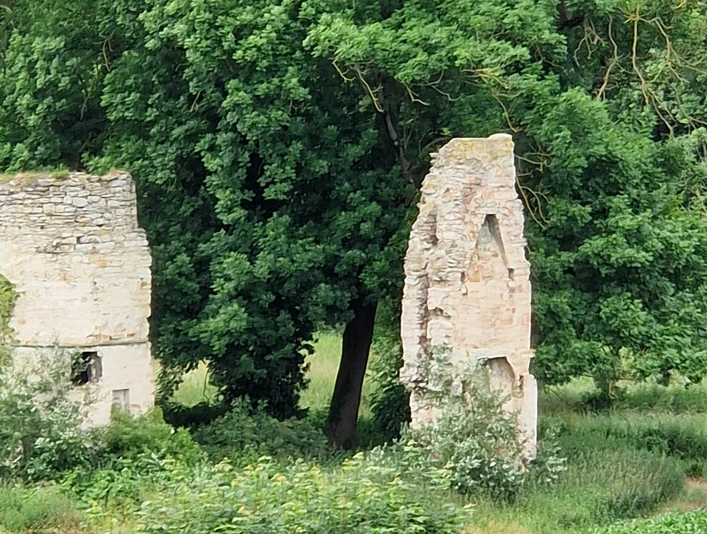 Ruine der Niederburg | Büren-Brenken