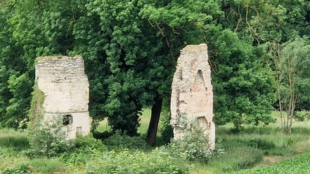 Ruine der Niederburg | Büren-Brenken Ruine der Niederburg | Büren-Brenken