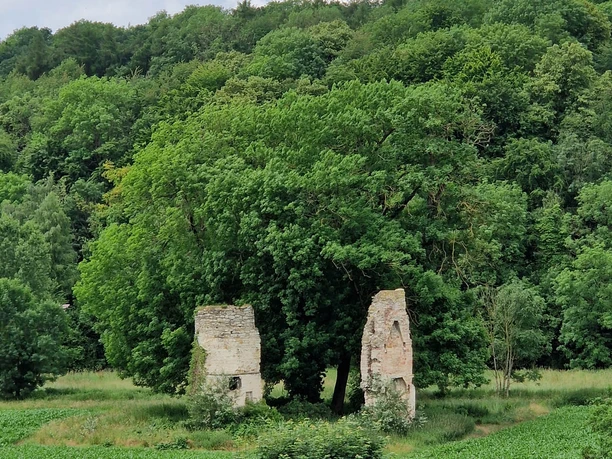 Ruine der Niederburg | Büren-Brenken