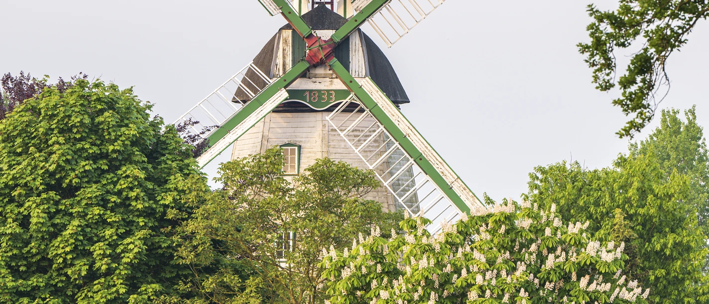 Holländer Mühle Artlenburg Dutch Mill Artlenburg