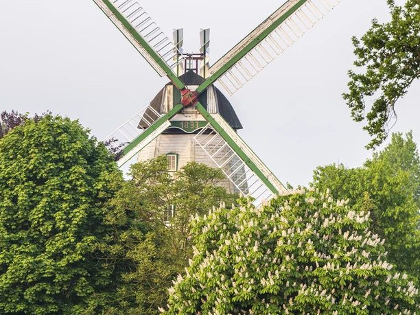 Holländer Mühle Artlenburg Holländer Mühle Artlenburg
