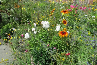 Kräutergarten32.jpg