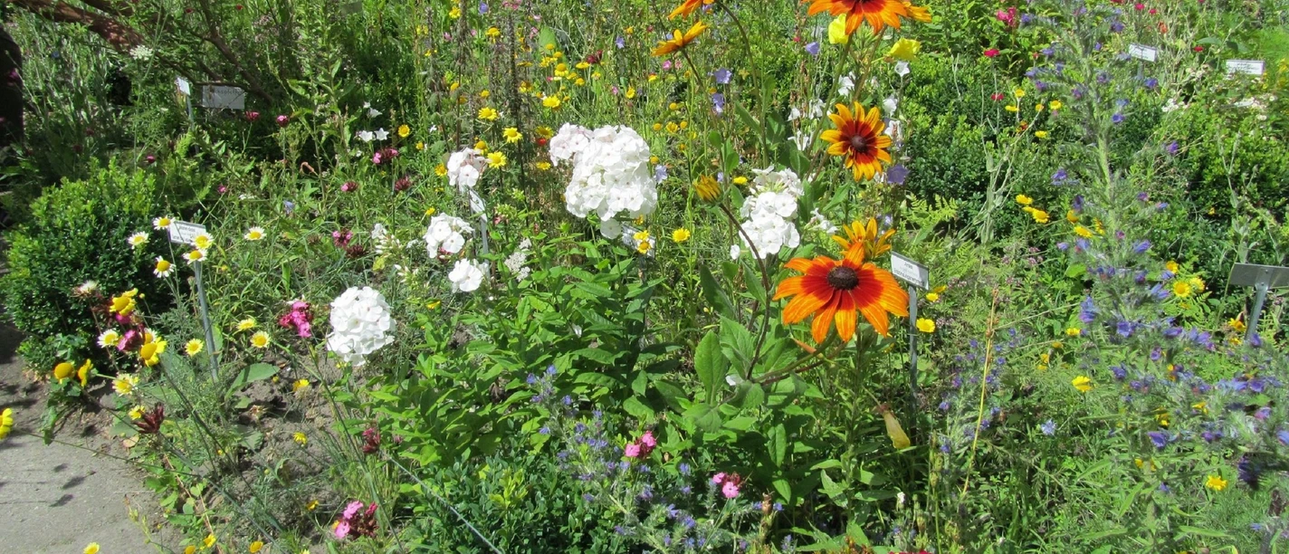 Kräutergarten32.jpg