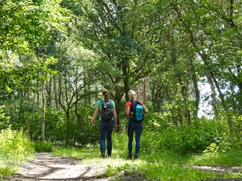 Klein Berßener Historische Straße - Hümmling-Pfade, Wandern im Emsland © Naturpark Hümmling (1).jpg