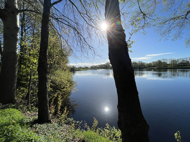 Hahnentanger_See_Frühjahr Sonniger Tag an einem ruhigen See mit Bäumen am Ufer und Sonnenreflexion auf dem Wasser