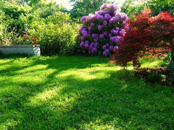 Idylle im gepflegten Garten