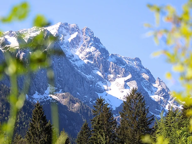 Ausblick vom Wohnzimmer aus
