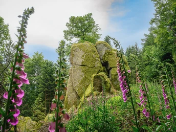 Felsenweg - Felsformation