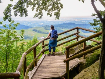 Bürstenstein - Wanderer am Ausblick Bürstenstein im Hintergrund Weinreben