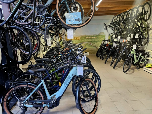 Fahrräder für Jedermann Fahrradgeschäft mit verschiedenen Modellen in Blau, Grün und Schwarz, aufgereiht und an der Wand hängend; helle, einladende Atmosphäre.